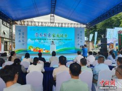 营养餐桌成主题  广西全民营养周在桂林启幕